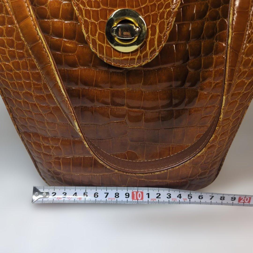 シャイニング　クロコダイル　バッグ　ブラウン　セット　サンタゴスティーノ
