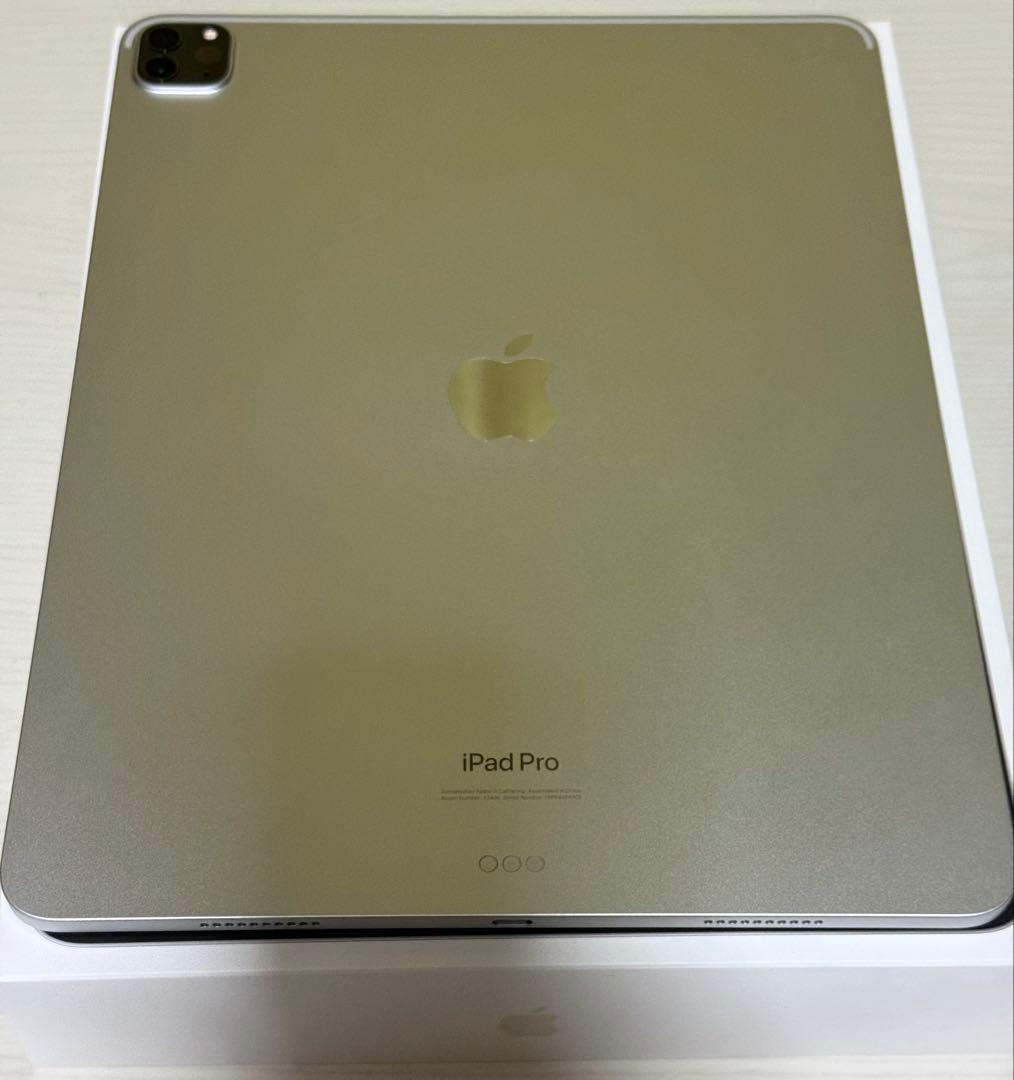 M2iPad Pro 12.9インチ　1TB wifiモデル