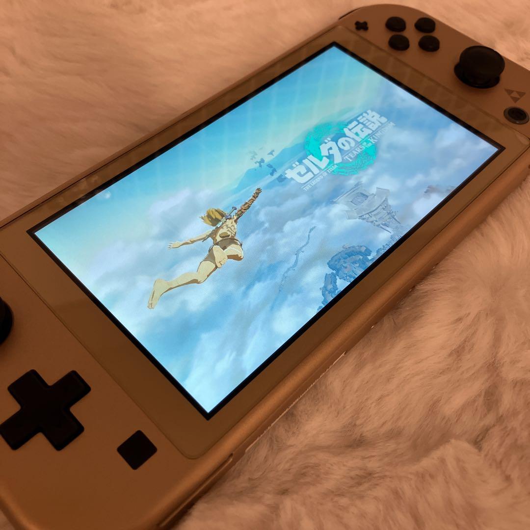 Nintendo Switch Lite ハイラルver. ケース付