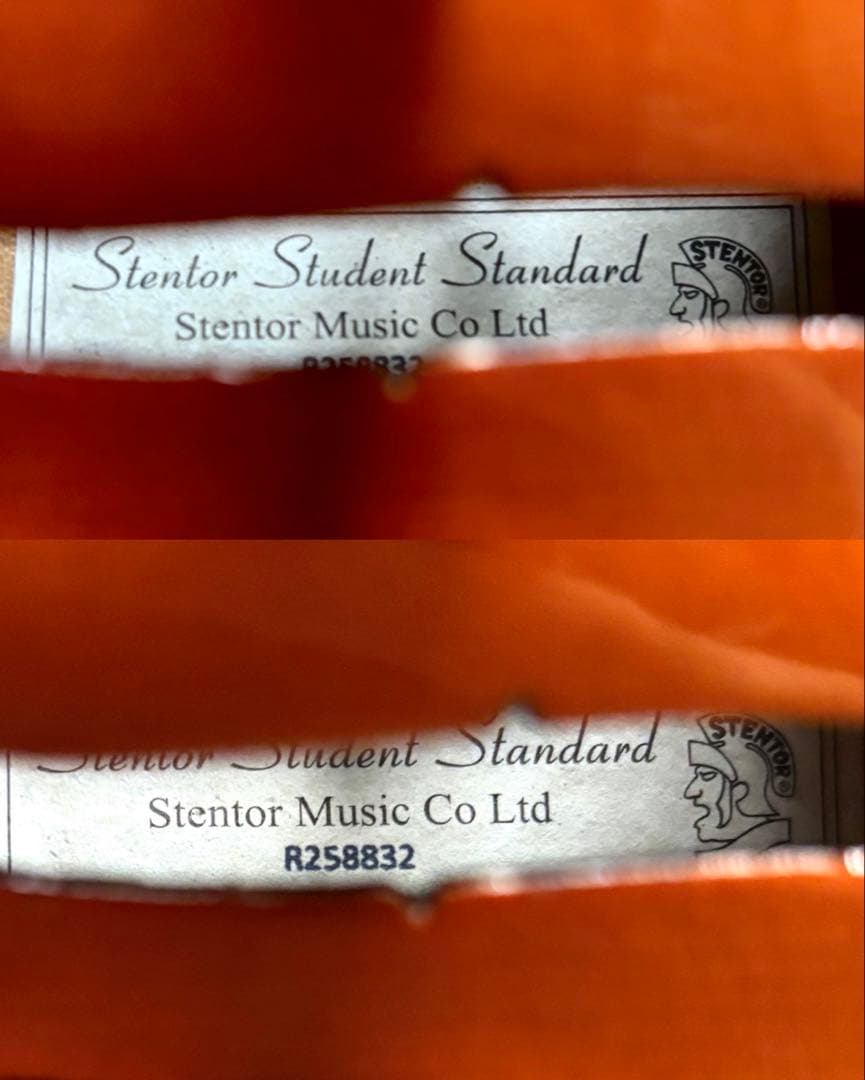【新品弦張替済】Stentor バイオリン Student Standard
