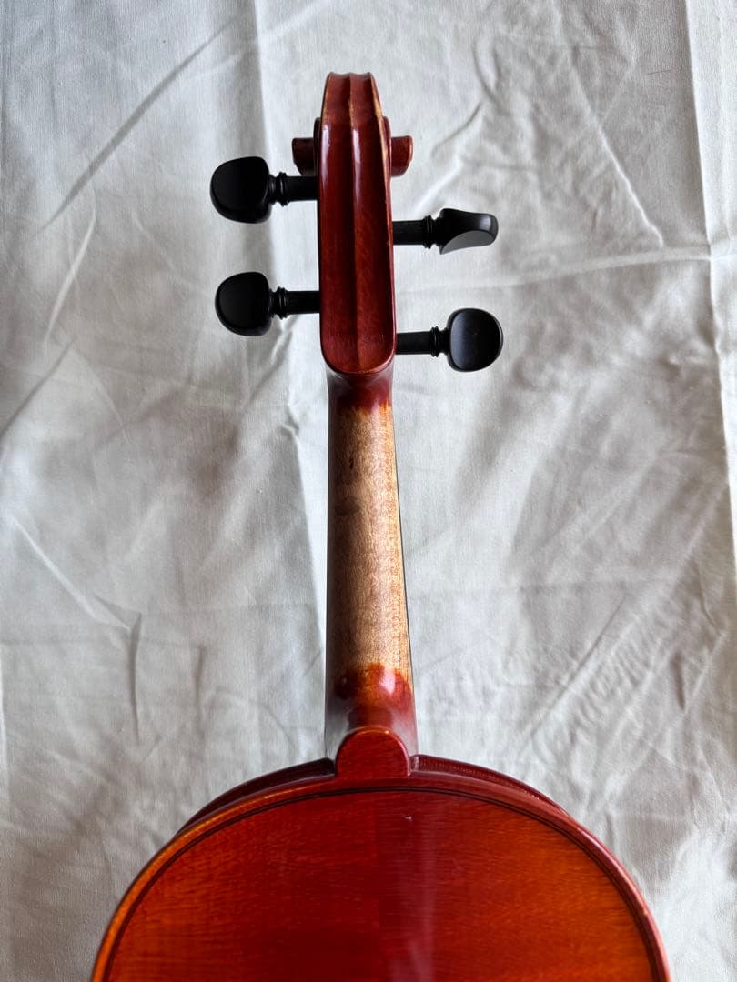 分数 バイオリン 1/2 suzuki No.230 弦 肩当 弓 ケースセット