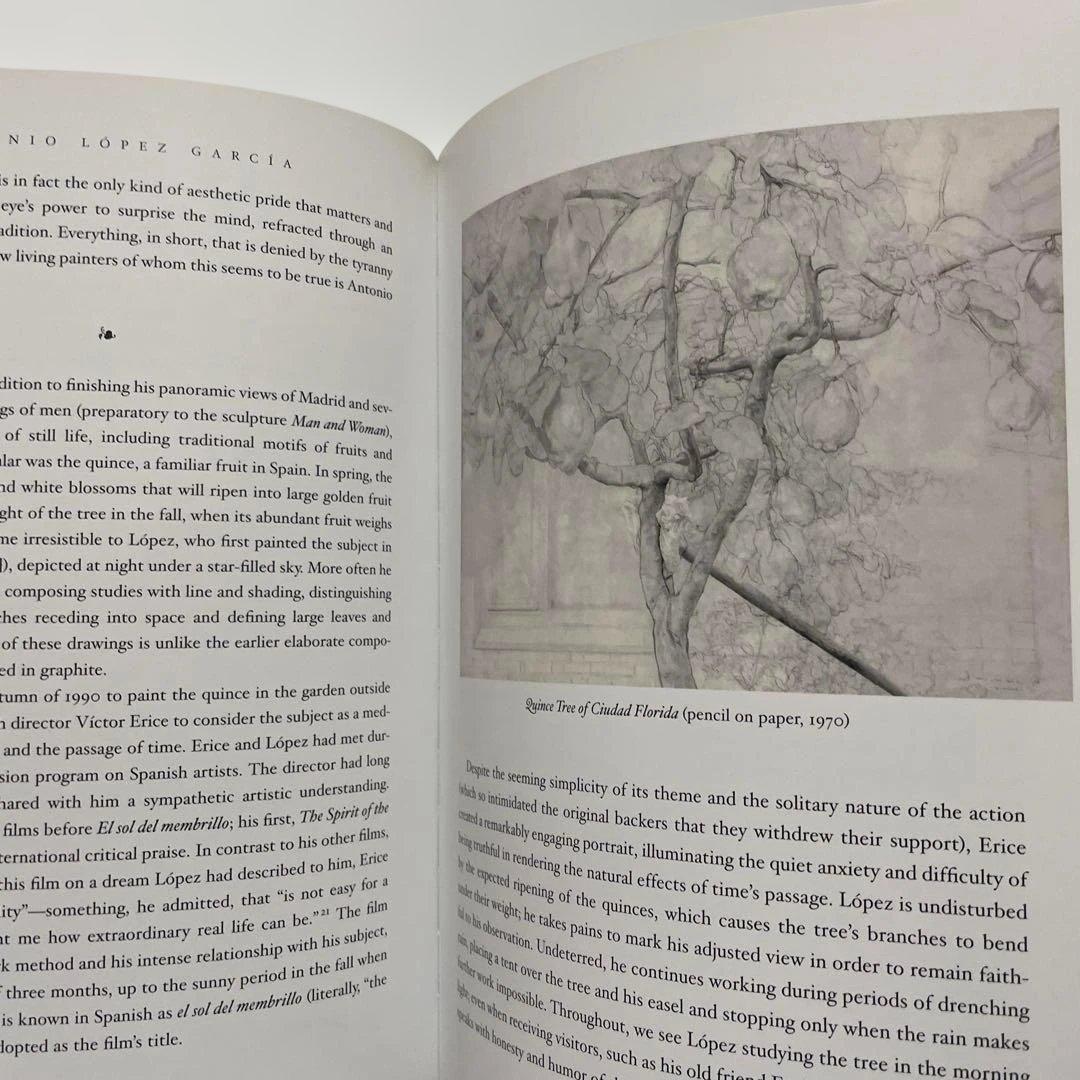 Antonio López García アントニオ・ロペス・ガルシア　洋書