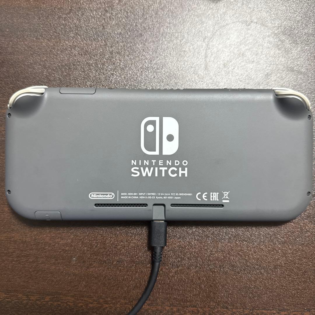 Nintendo Switch Lite グレー 本体のみ、おまけ付き