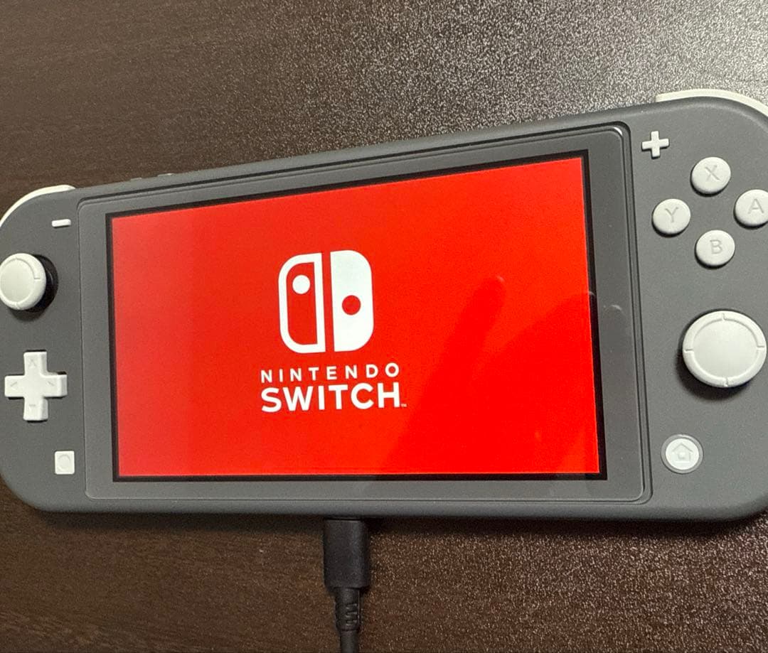 Nintendo Switch Lite グレー 本体のみ、おまけ付き