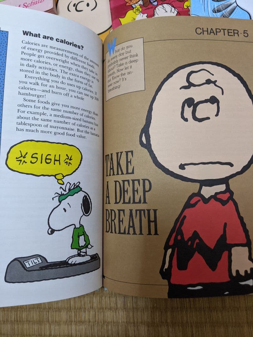 スヌーピー♡Peanut♡洋書♡洋本♡絵本セット