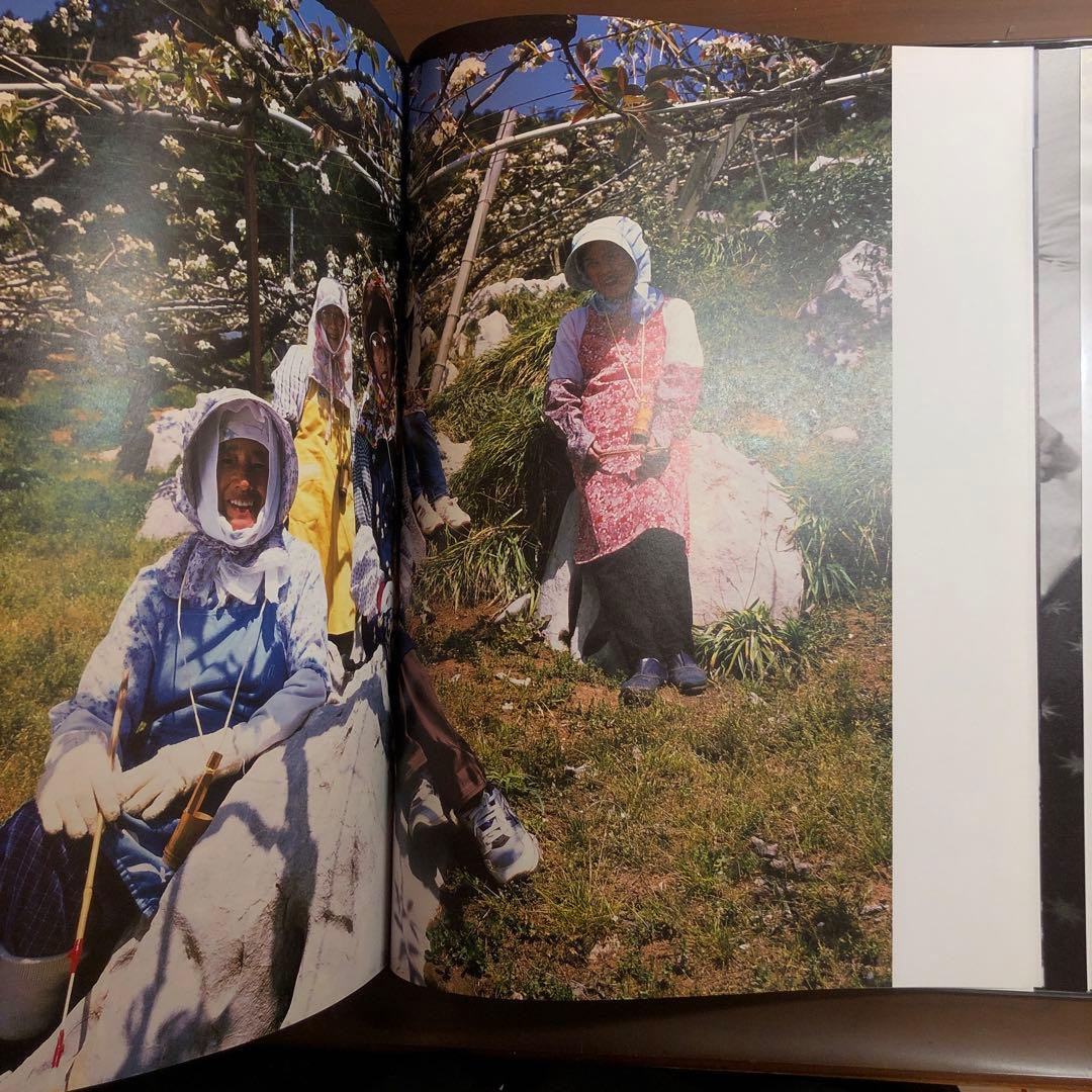 荒木経惟 (Portfolio)／Nobuyoshi Araki Stern