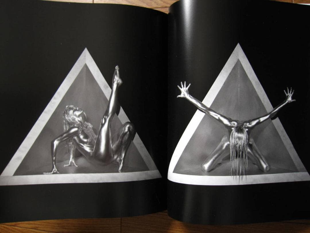 Silvereye　Guido Argentini　 グイド・アルジェンティーニ