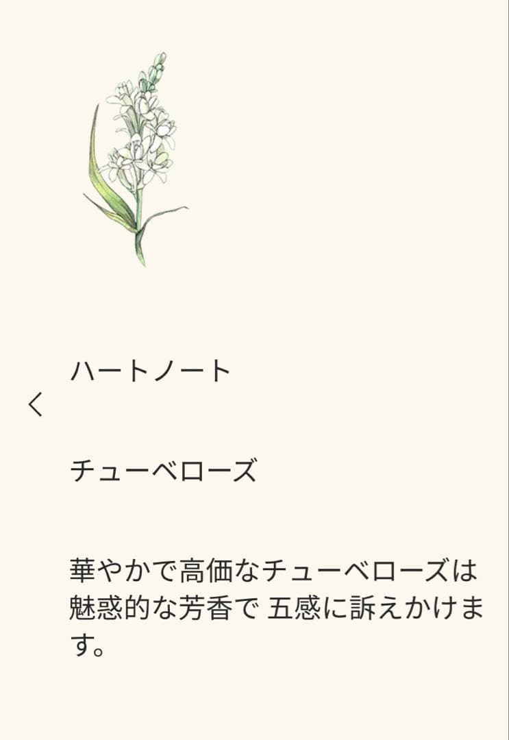 ジョーマローン ロンドン香水