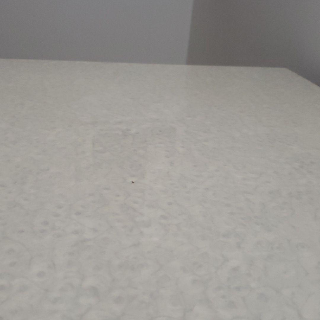 石材？人工？テーブル　静岡市　お値下げ不可