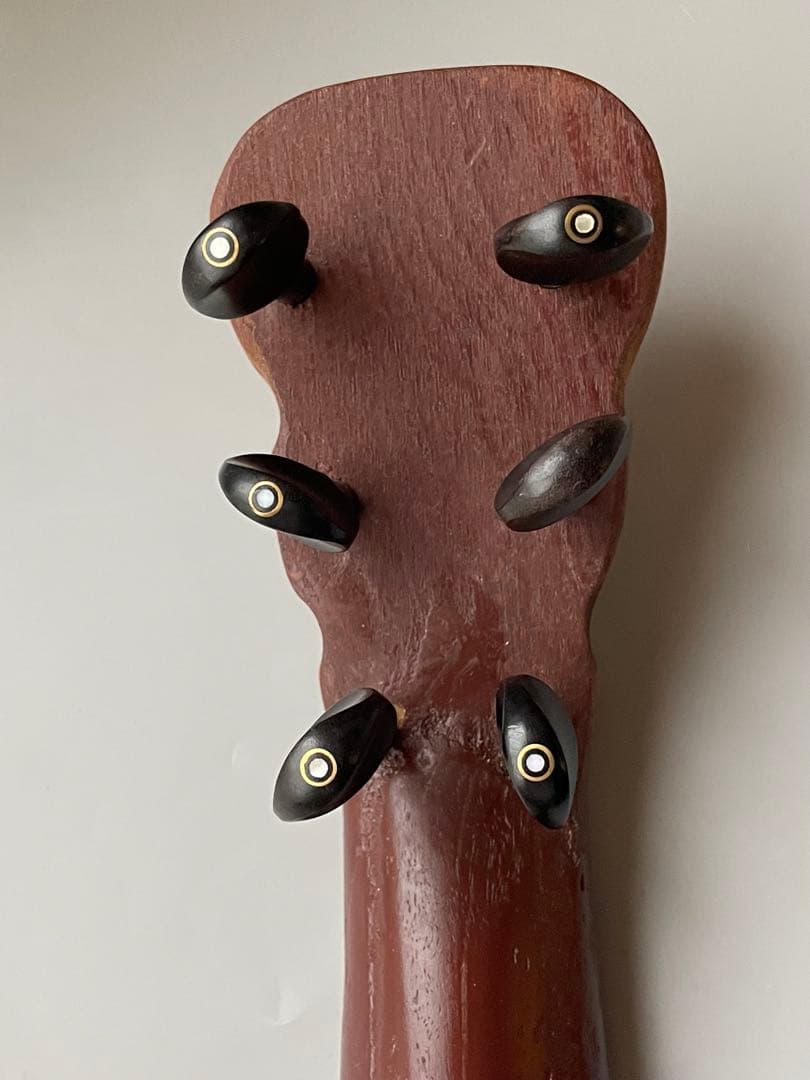 超個性派フレットレスギター　三味線ボディ×魚皮張り　ショートスケール　ケース付