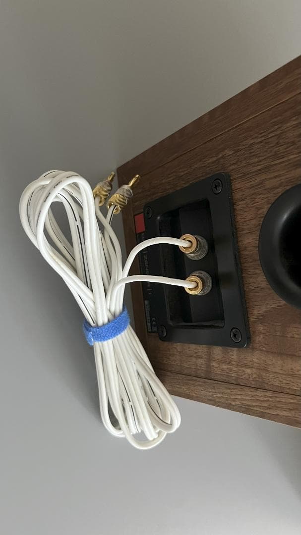 DALI スピーカーシステム ZENSOR 1 ライトウォールナット