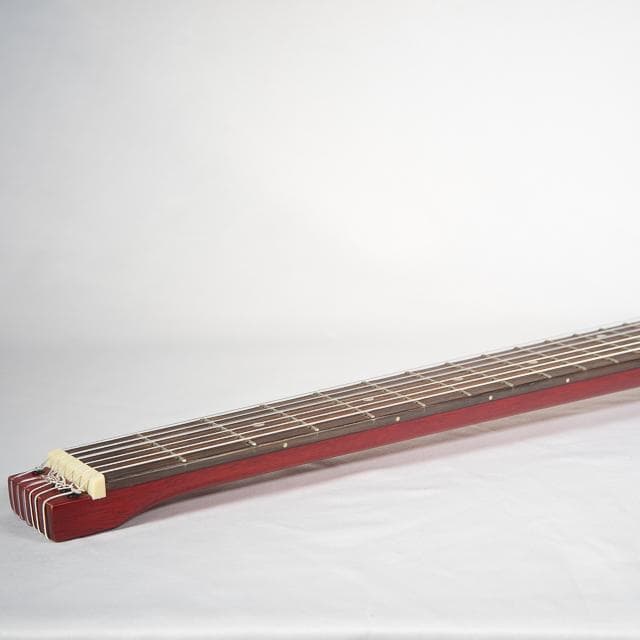 anygig エニーギグ エレキギター ミニギター トラベルギター