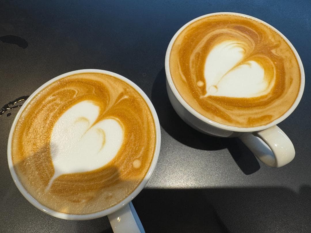 d*o様 【美品・一部要修理】Breville エスプレッソマシン BES980