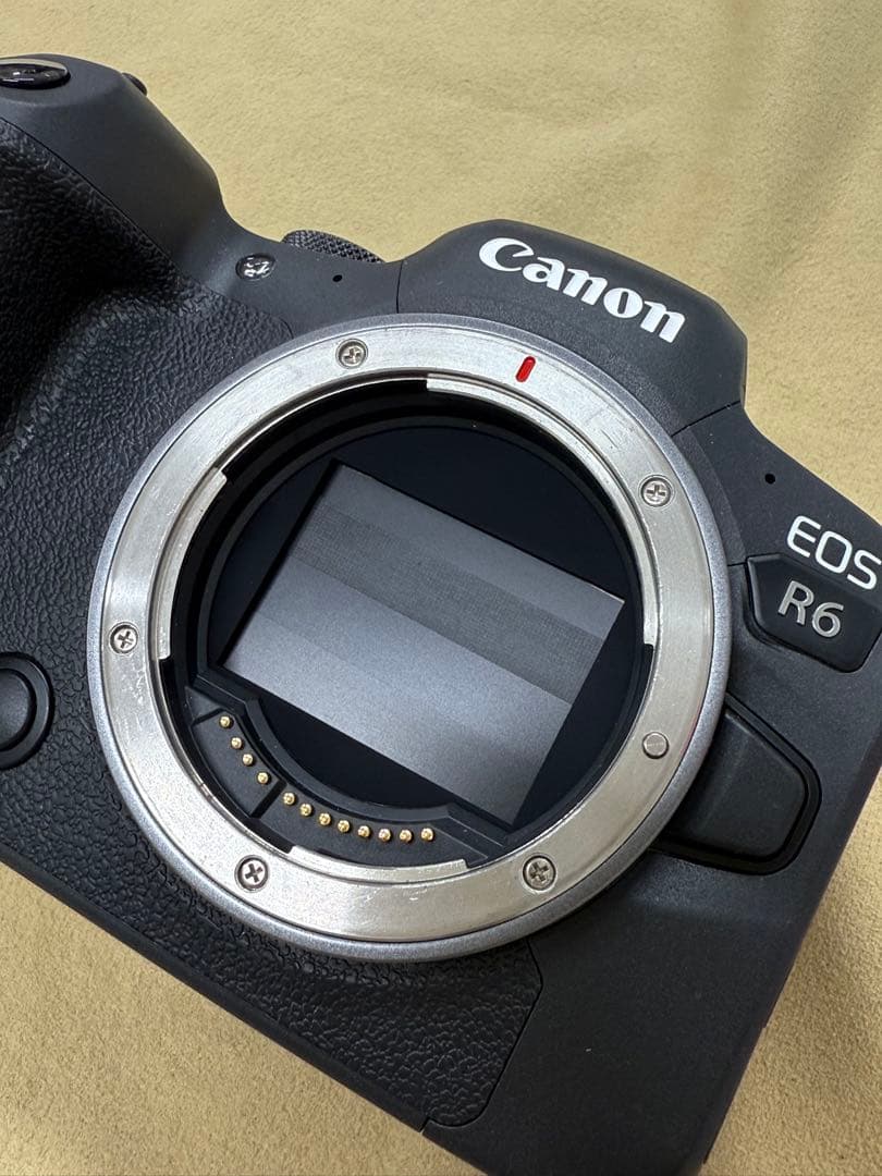 Canon EOS R6 ボディのみ　本体
