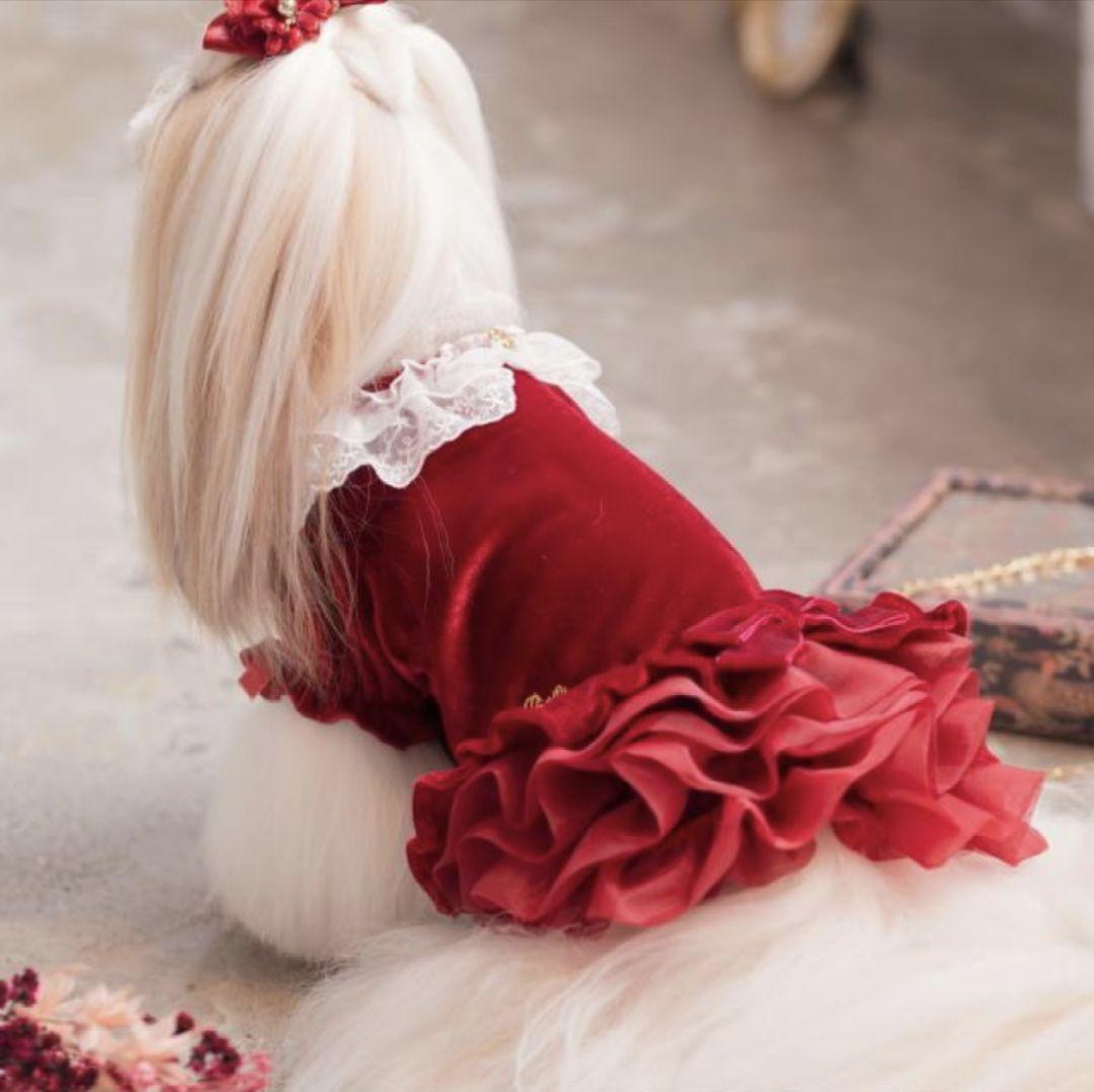 きゃんナナ犬服 グリーン ベルベットボリュームフリルベロアワンピース Sサイズ