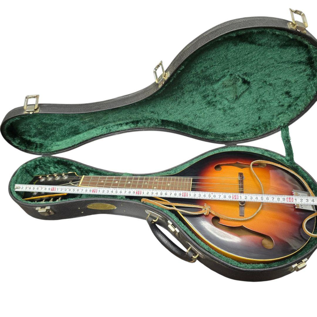 値下げjumbo ジャンボ フラットマンドリン ハードケース付