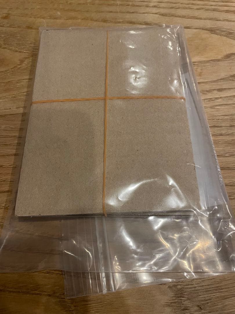 SARメガリザードンX EX 110/080