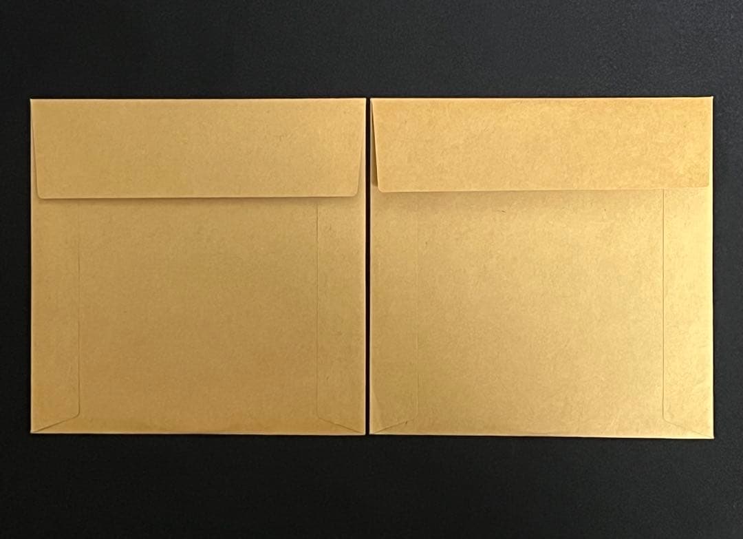 真天地開闢集団ジグザグ　白盤　黒盤