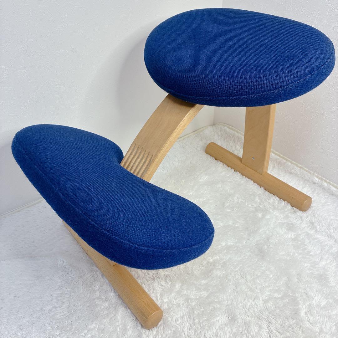 【極美品】 バランスイージー 通常フレーム 防水カバー付き ブルー