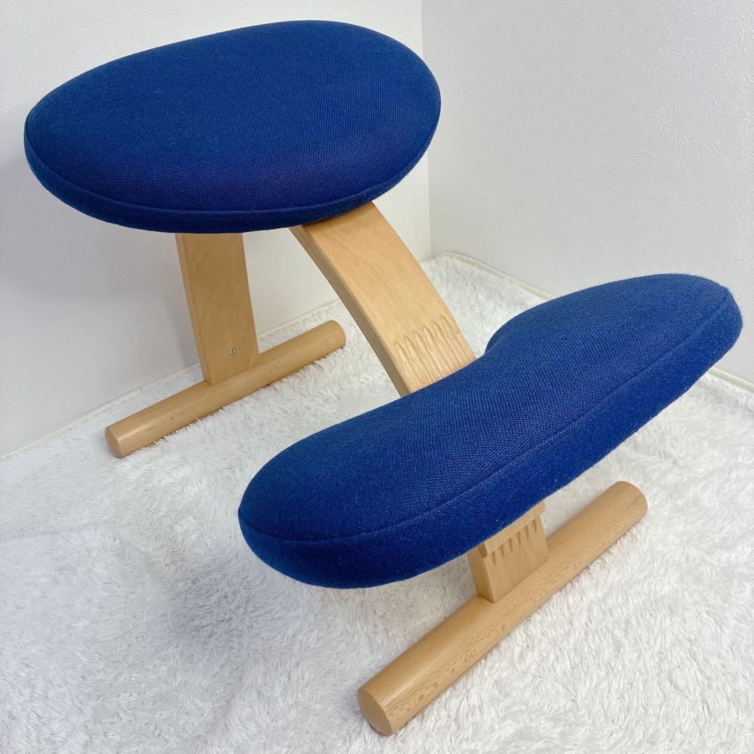 【極美品】 バランスイージー 通常フレーム 防水カバー付き ブルー