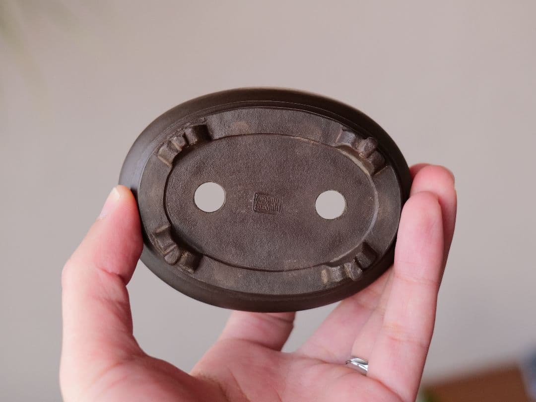 【植松陶翠】紫泥内縁楕円鉢