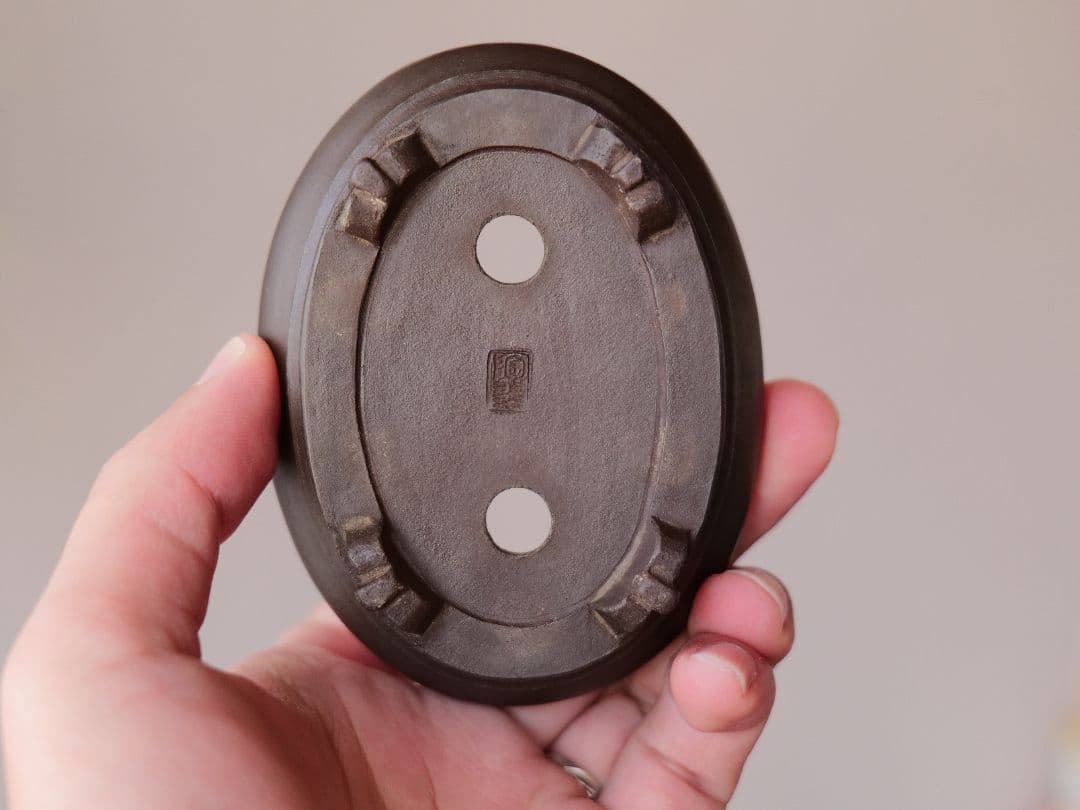 【植松陶翠】紫泥内縁楕円鉢