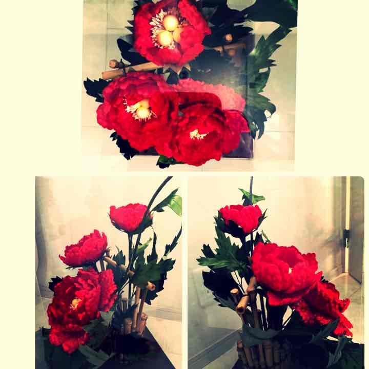 [大幅値下げ] 10万→5万円ツバキ (縁起物)