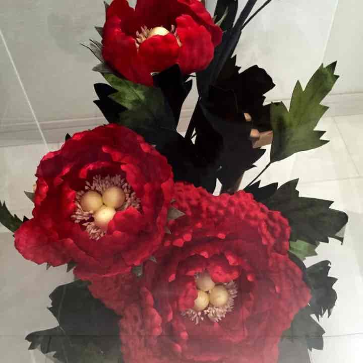 [大幅値下げ] 10万→5万円ツバキ (縁起物)