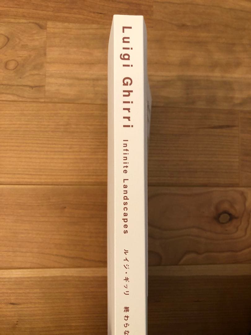 【値下げ】ルイジ・ギッリ　終わらない風景　図録