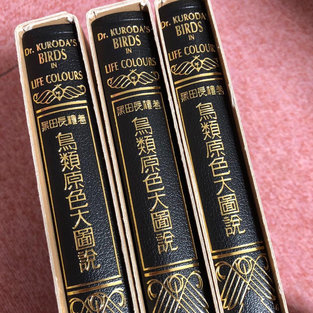 【最終値下げ】鳥類原色大図説 全3巻 セット 鳥 図鑑 動物
