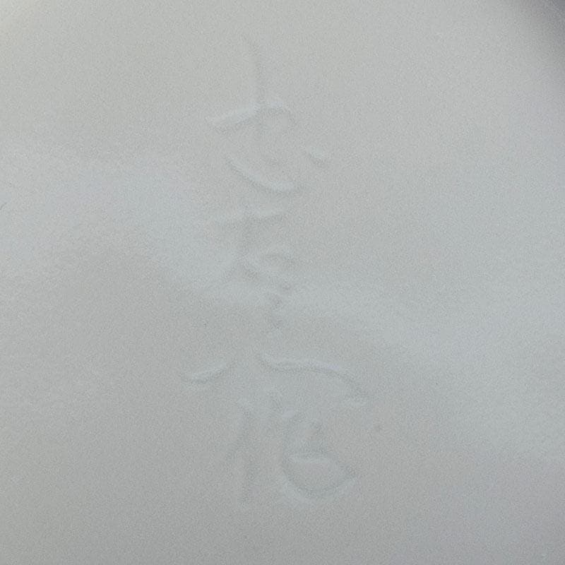 有田焼　二代　奥川忠右ェ衛門作　花文　白磁皿　5客　共箱　C　6927