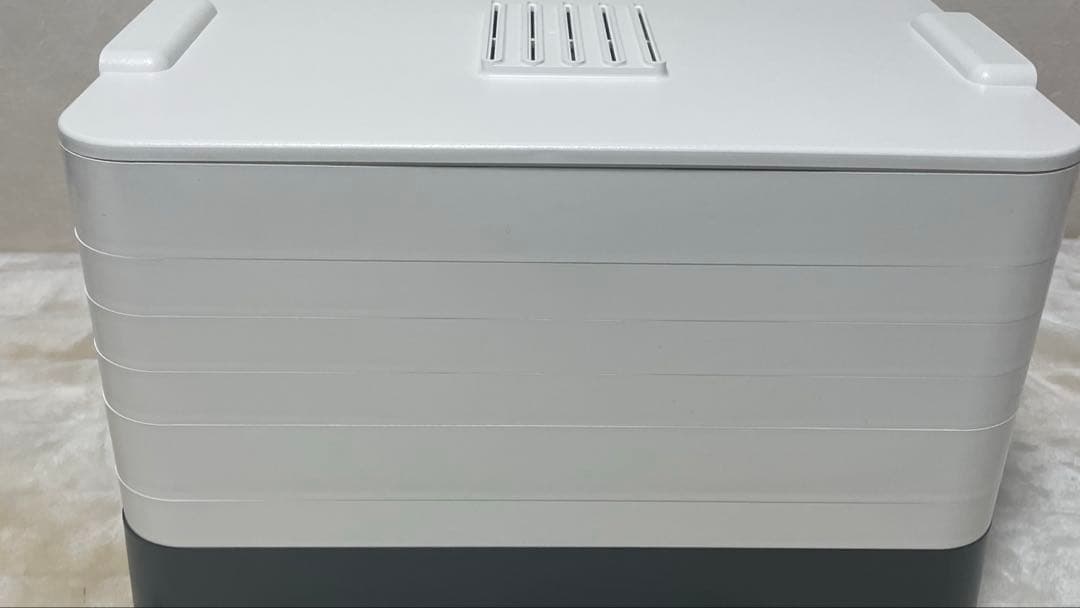 フードドライヤー 家庭用 プチマレンギ TTM-435S