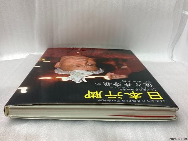 限定1000部　日本行脚 佐々井秀嶺 師　アーリヤ・ナーガルジュナ