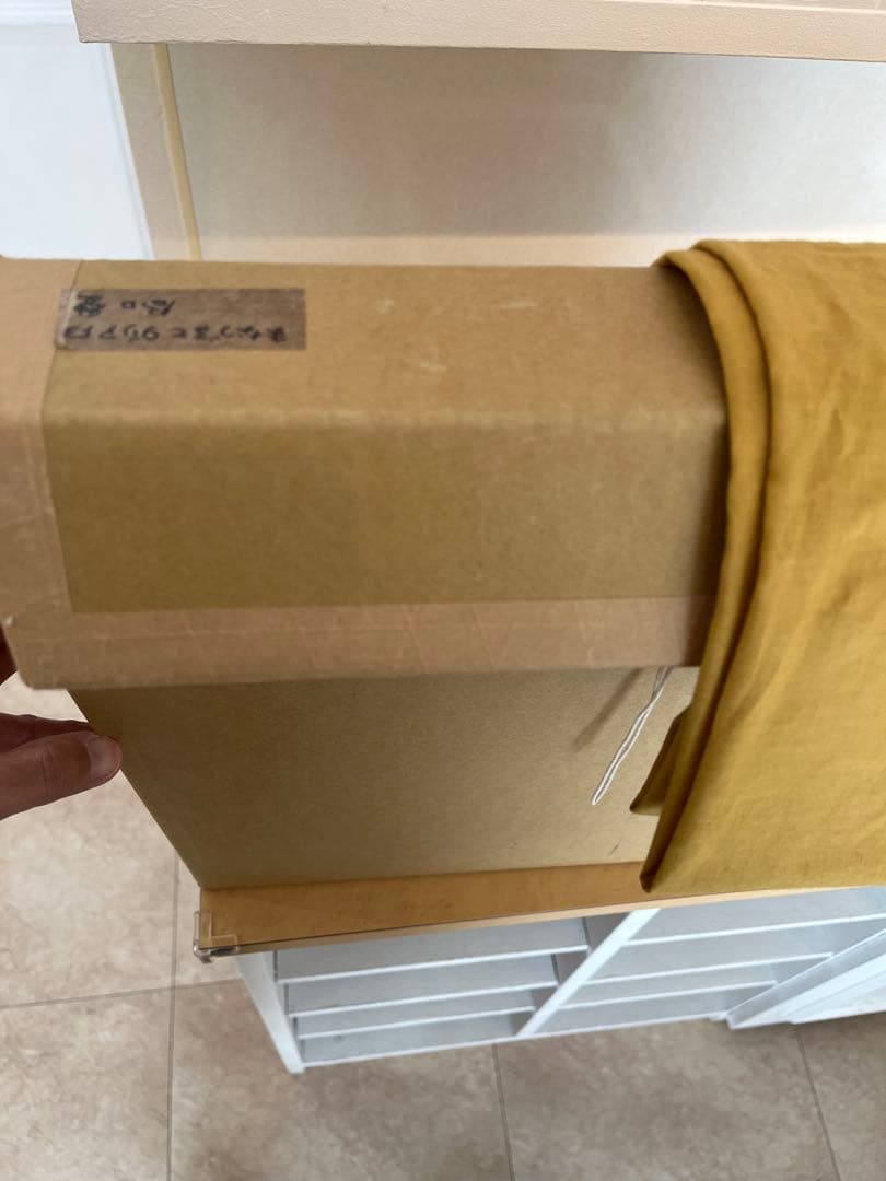 絵画　谷口愛　画伯　F3号　一点物