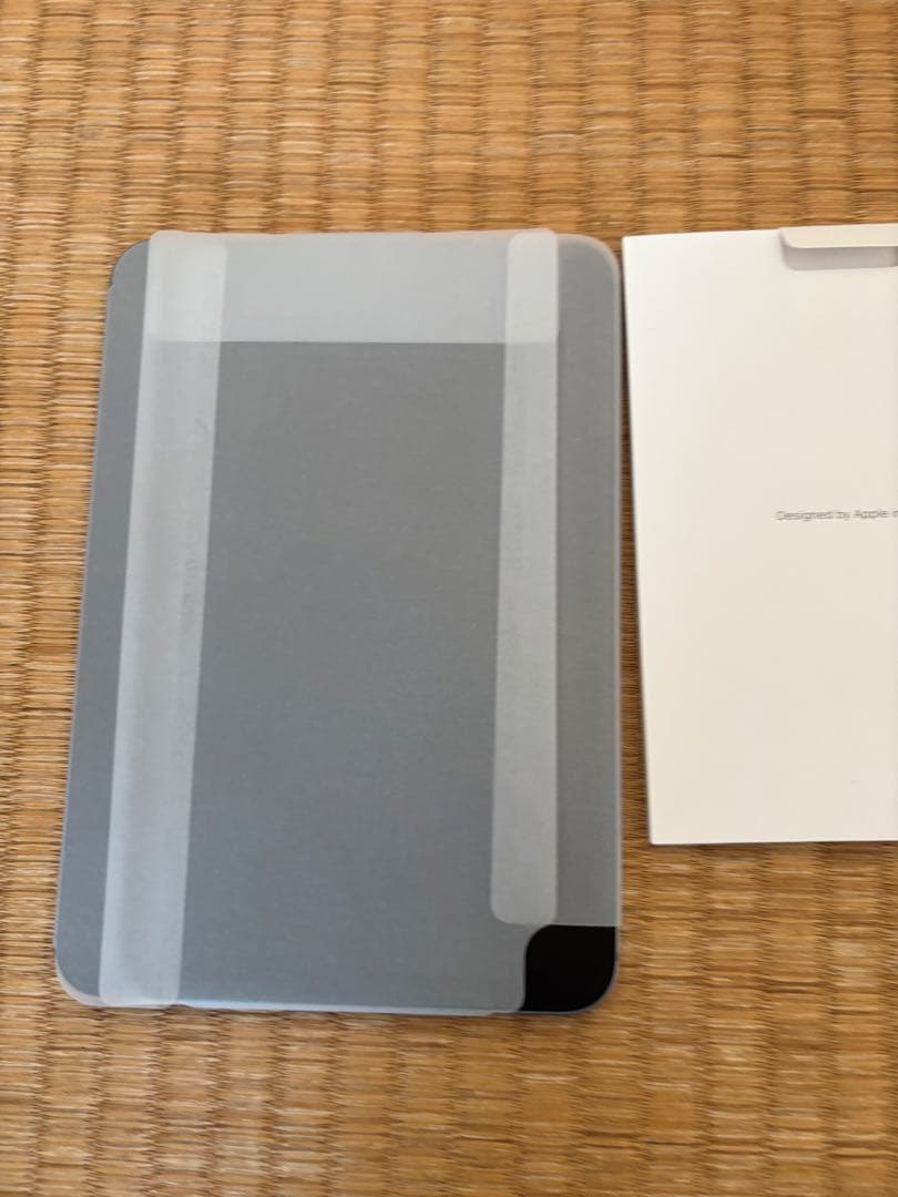 最新 iPad mini Wi-Fi + Cellular 第7世代128GB