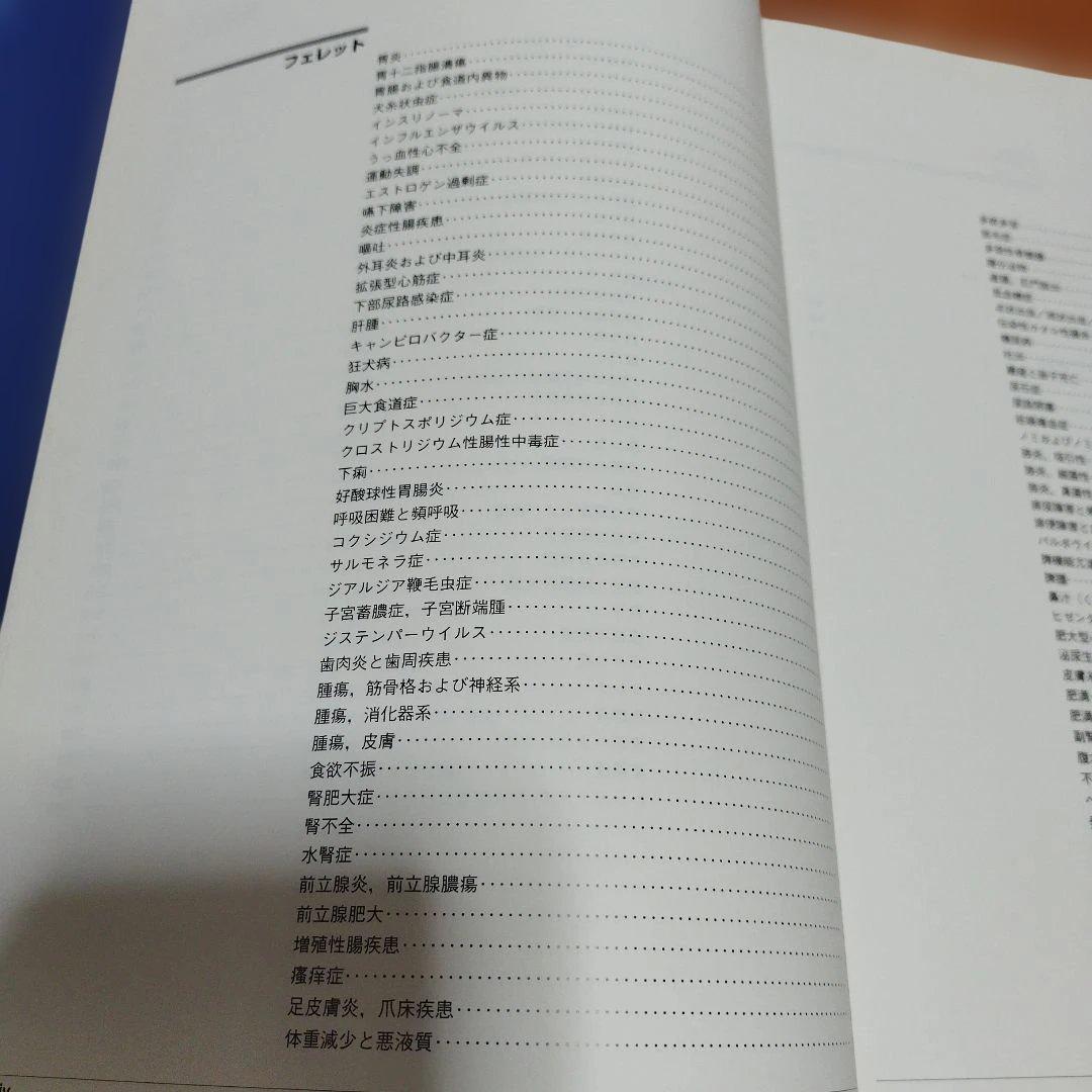 小動物臨床のための5分間コンサルト　ウサギとフェレットの診断・治療ガイド