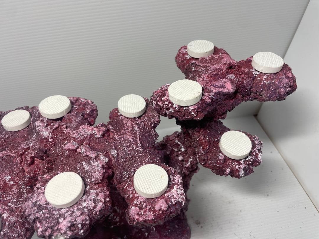 【送料無料】人工ライブロック　PHR36／11穴加工　アク抜き済み安心塗料使用