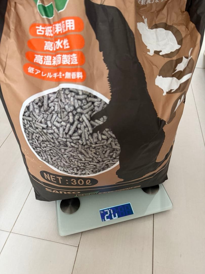 ハリネズミ　飼育セット