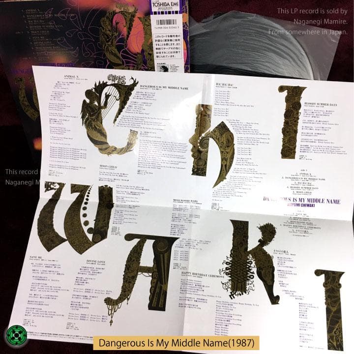 LP 邦楽ロック名盤8枚セット LIZARD EX アナーキー ちわきまゆみ