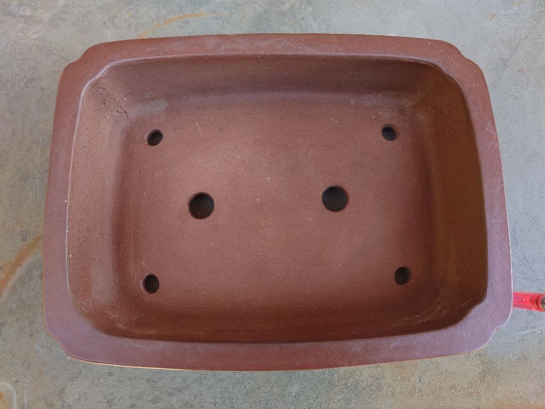 盆栽　鉢　柴勝　幅27.5cm