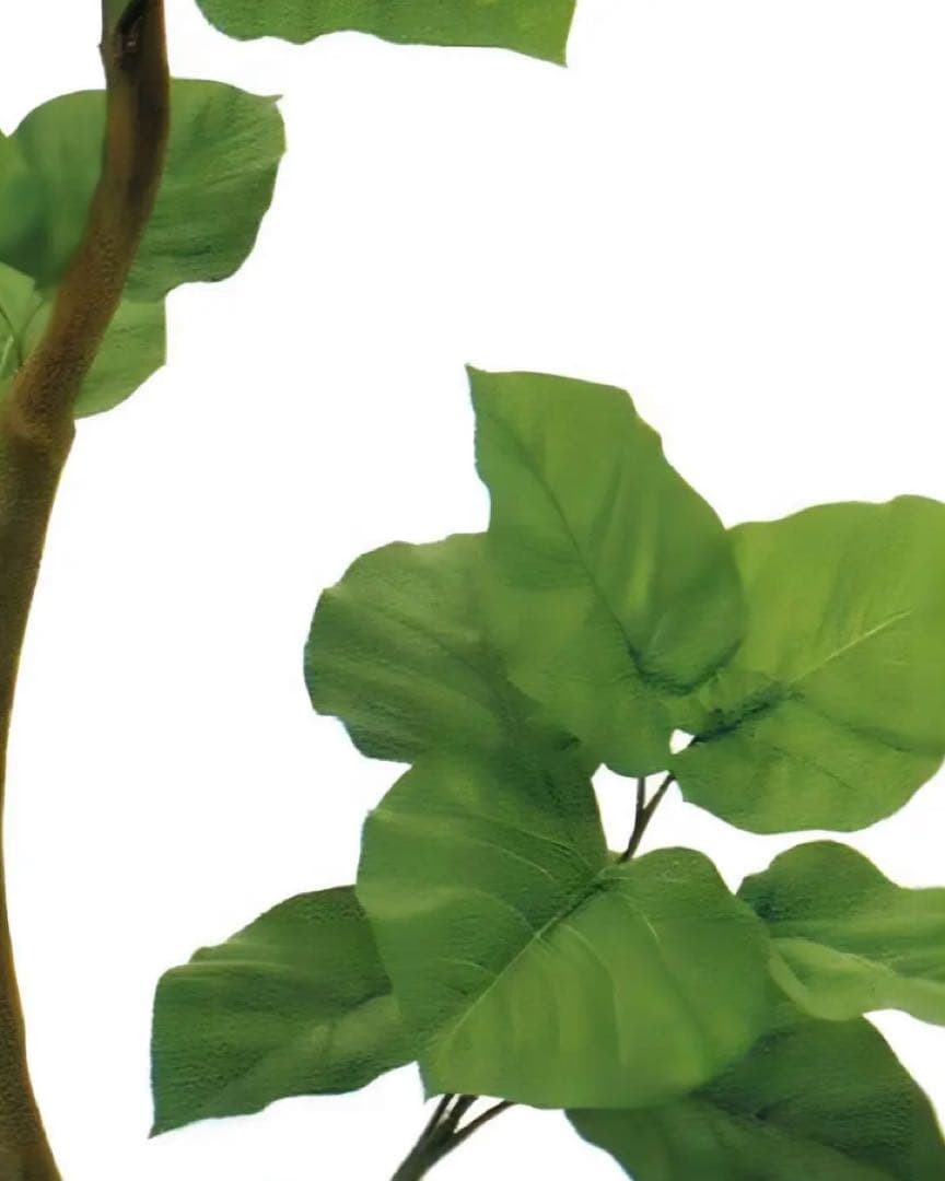 光触媒　人工観葉植物　ウォールグリーン　フェイクグリーン　ウンベラータスパイラル