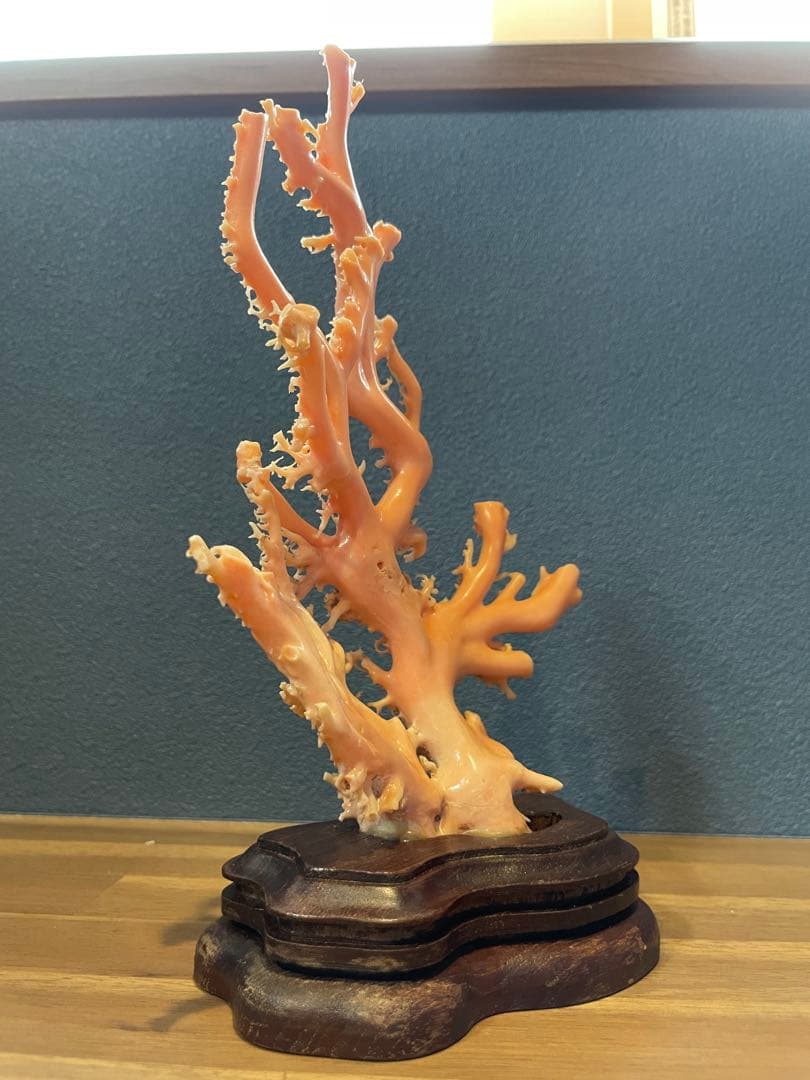 ピンク珊瑚 原木枝 土台付き 約20.5cm