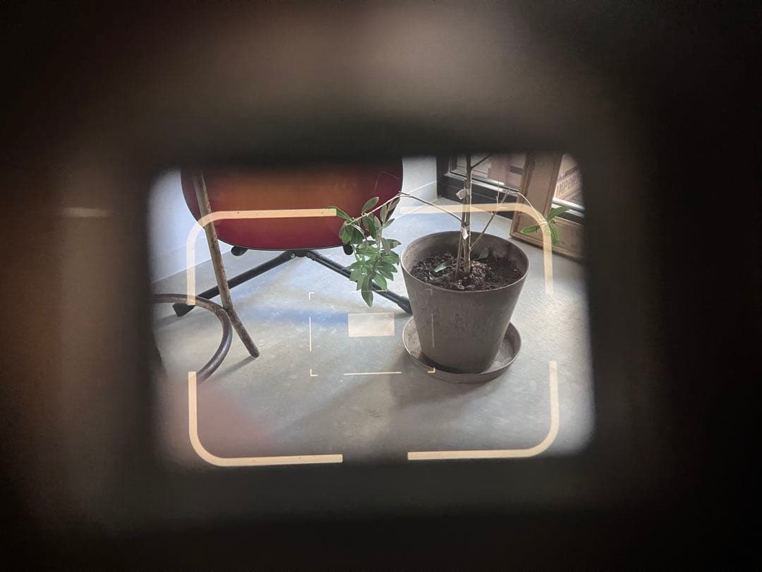 Leica M3 フィルムカメラ