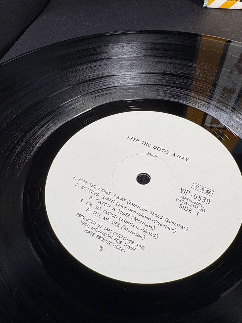 C061 THOR KEEP THE DOGS AWAY 怒りの雷神　ソー