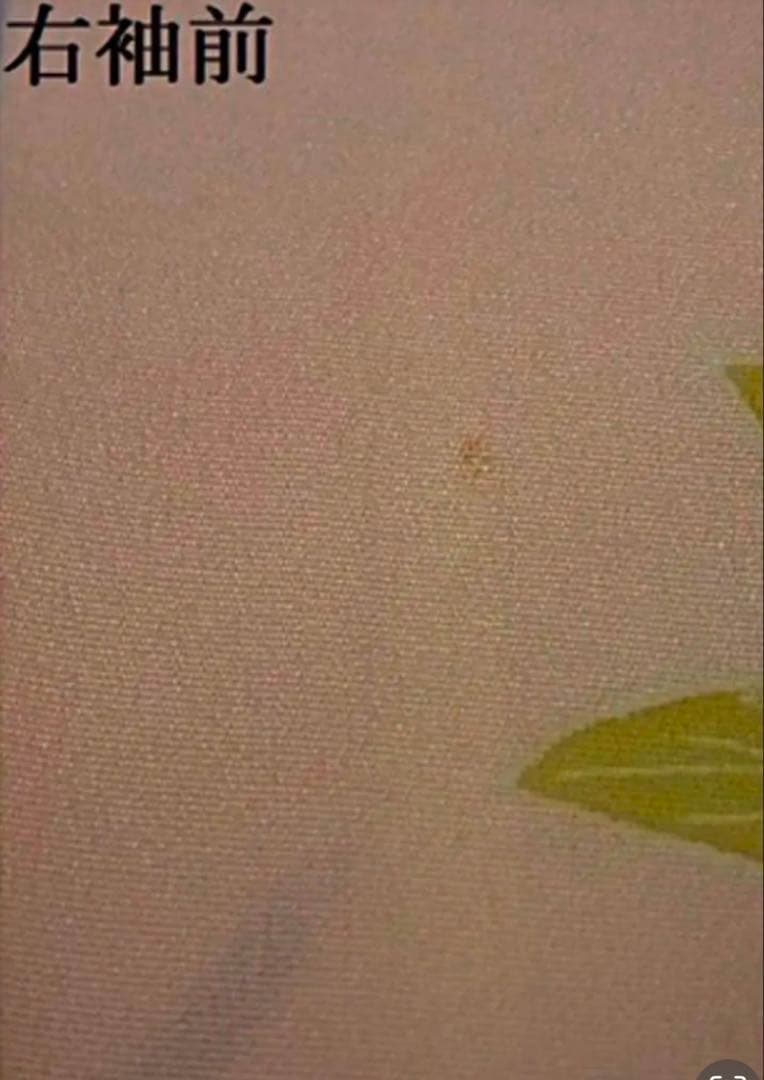 豪華振袖　友禅　花車文　正絹　逸品