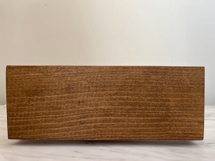 クモガイ 標本 貝殻 インテリア アート アンティーク 貝 オブジェ 雑貨