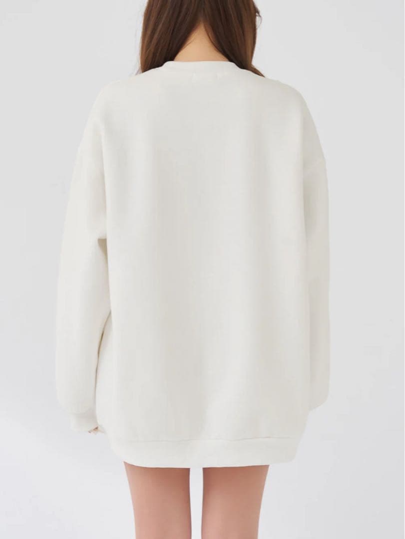 Darich DDロゴビジュースウェットプルオーバー WHT