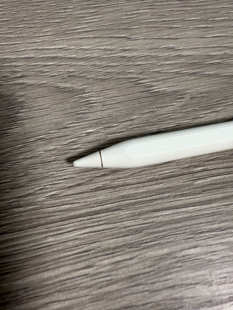 【専用】iPad Pro 11インチ（第1世代）512GBApplePencil