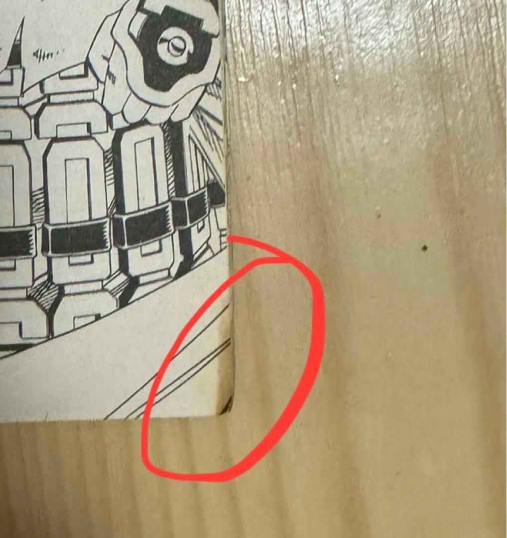 シャーマンキング　英語版　漫画　English Manga