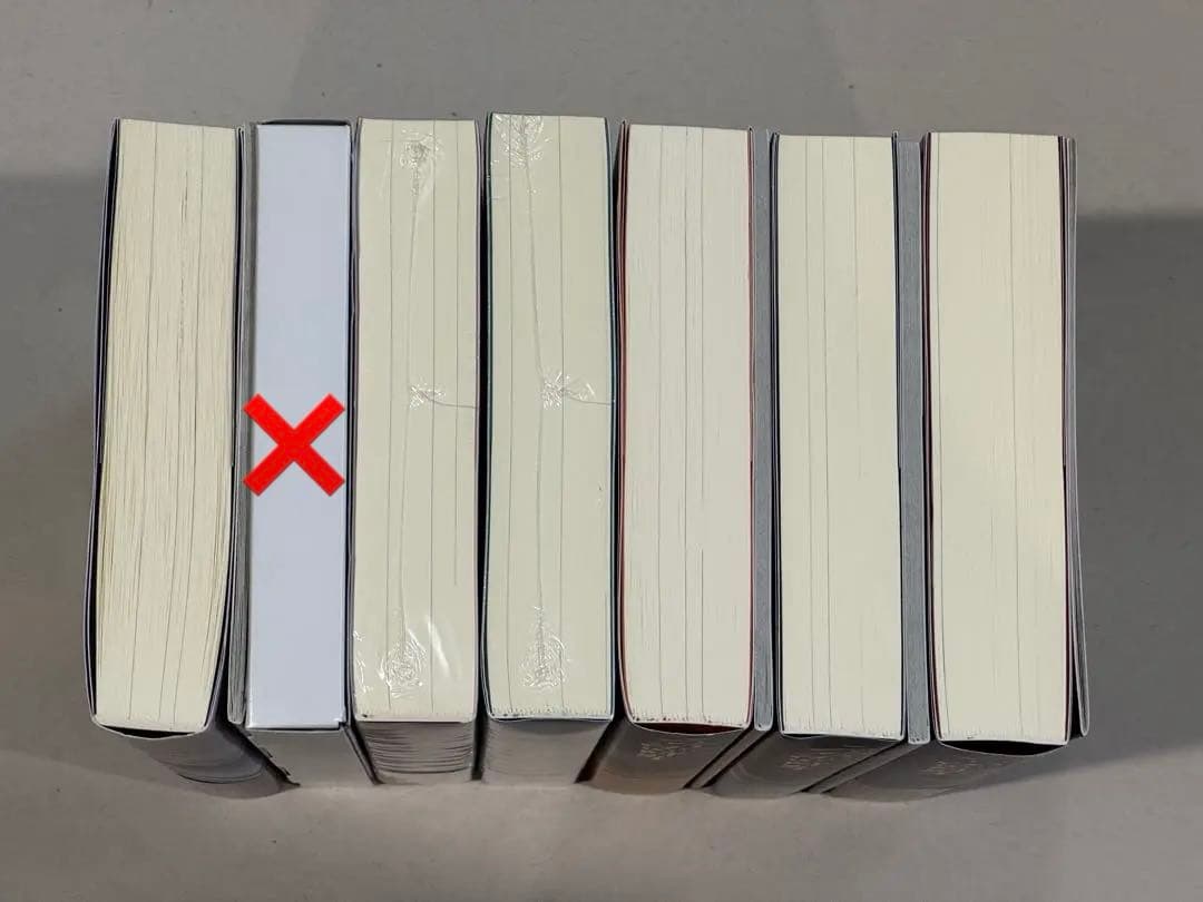 肉包不吃肉 日本語小説 【二哈和他的白猫師尊】